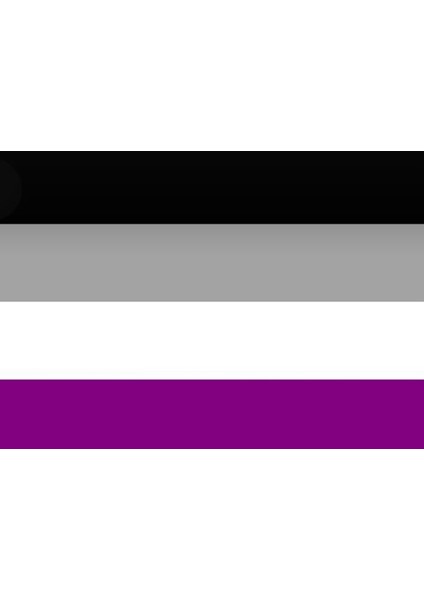 Lgbtq Asexual Bayrağı 70X105