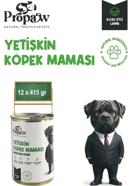 Köpek Yaş Mama Kuzu Konserve Jöleli Premium Parça Etli Yemek Besleyici Tahılsız Içerik 12 x 415GR