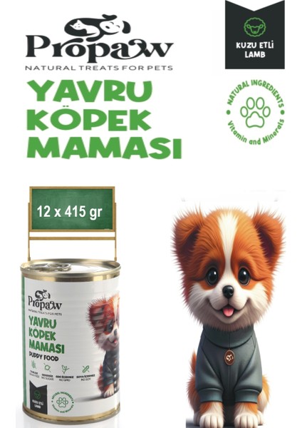Yavru Köpek Yaş Mama Kuzu Konserve Jöleli Premium Parça Etli Yemek Besleyici Tahılsız Form 12X415 gr
