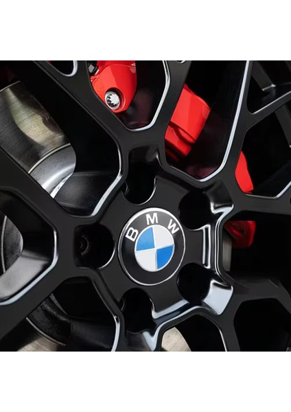 Logolu Gümüş Kenarlı Alüminyum 65 mm 4 Adet Jant Göbek Stıcker