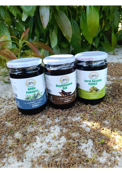 ANDIZ PEKMEZİ 800 gr KEÇİBOYNUZU ÖZÜ 800 GR kozalak pekmezi 800 gr
