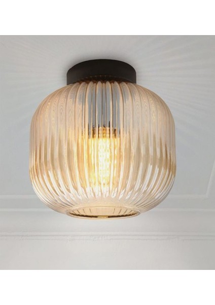 Mylights Rustik Vintage Bal Camlı Tavan Plofonyer Avize