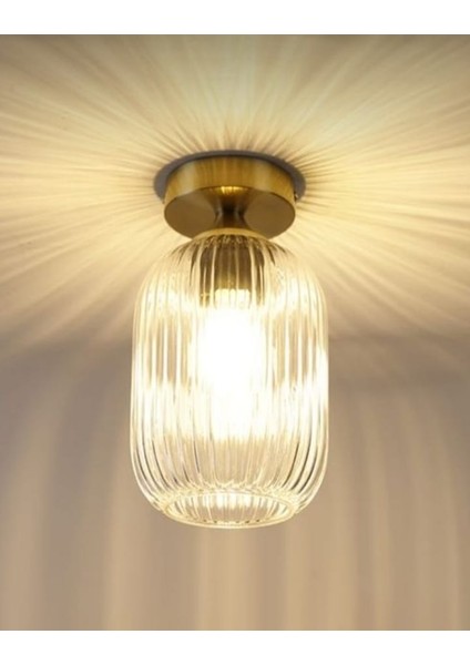 Mylights Rustik Vintage Bal Camlı Tavan Plofonyer Avize 14 cm Cap