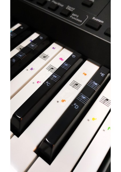 Piyano Org Klavye Piyano Tuşları Için Nota renkli Sticker Etiketi 37-49-54-61-88 Tuşlara Uygun