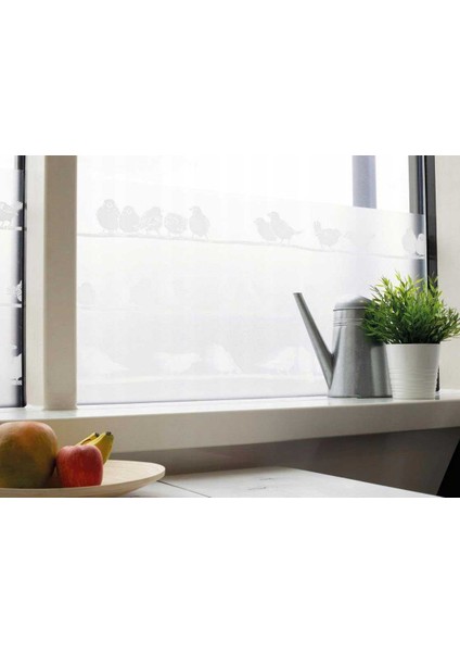 189-0020 Premium Kuş Görünümlü Statik Cam Folyo ( 45 cm x 1 mt )