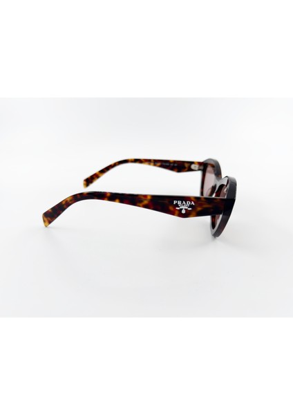 A02S 17N60B 52 Kadın Güneş Gözlüğü modelleri