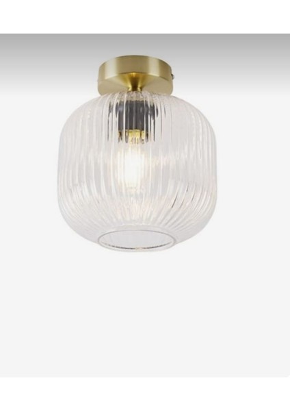 Mylights Rustik Vintage Şeffaf Camlı Tavan Plofonyer Avize