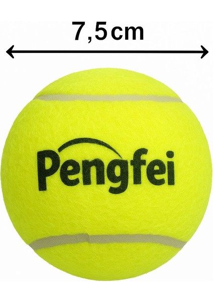 Tenis Topu