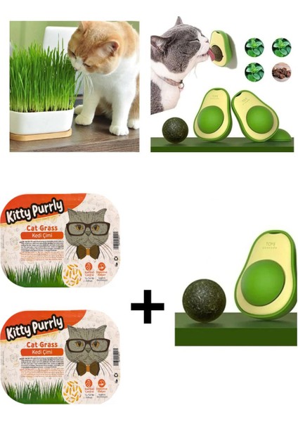 Doğal Kedi Çimi (Tüy Yumağı Önleyici) + Avokado Kedi Çimi Kedi Oyuncağı
