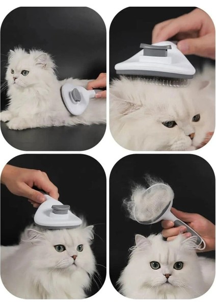 Edi Köpek Tırnak Makası ve Otomatik Tuşlu Kedi Köpek Kılı Tüy Toplama Fırçası Takımı