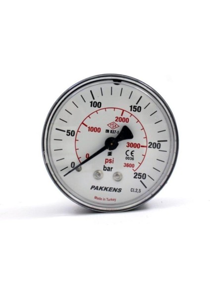 0-250 Bar 50 mm Panotipi Arkadan Bağlantılı Kuru Manometre G 1/8 Inç