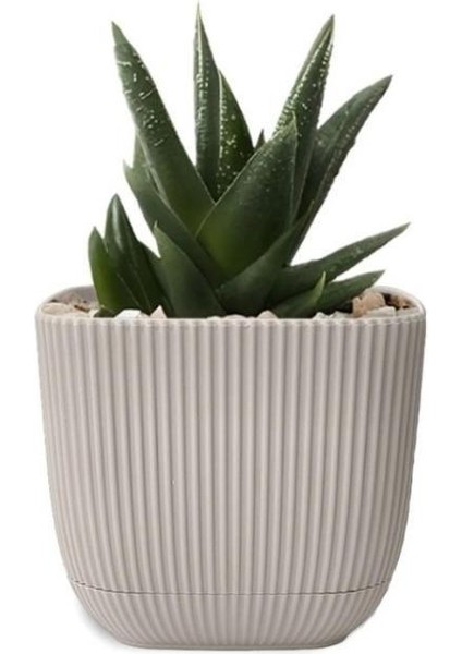 KRS-384 Dekoratif Plastik Mercan Kare Saksı 4 Litre No 4 fiyatları