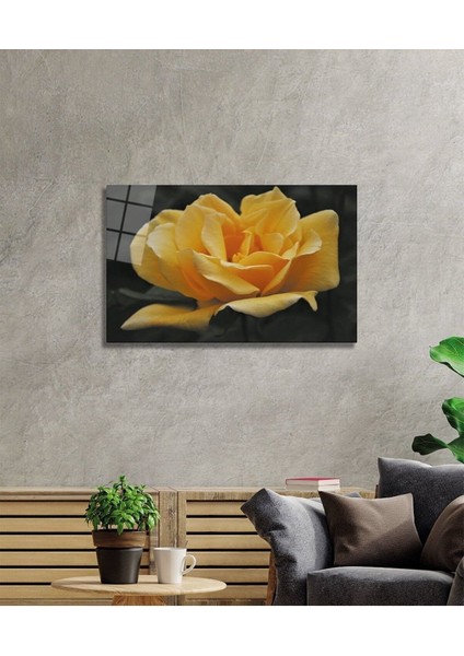 Köpek 2 Cam Tablo fiyatları