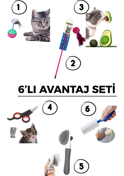 6'li Oyun Seti: Tüylü Kedi Topu + Kedi Oltası + Kedi Yalama Topu +Tarama Fırçası +Tüy Toplama Rulosu