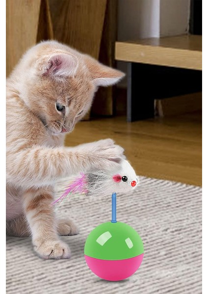 Hareketli Kedi Topu Yavru Kedi Eğitici Hacı Yatmaz Oyuncak