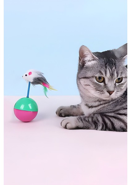 Hareketli Kedi Topu Yavru Kedi Eğitici Hacı Yatmaz Oyuncak