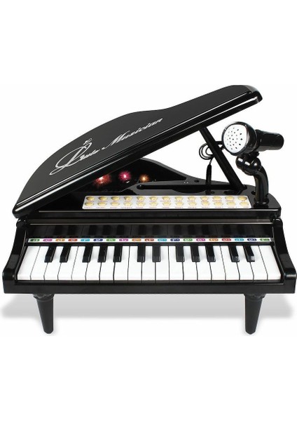 BAO-1504B 31 Tuşlu Mini Piano Mp3