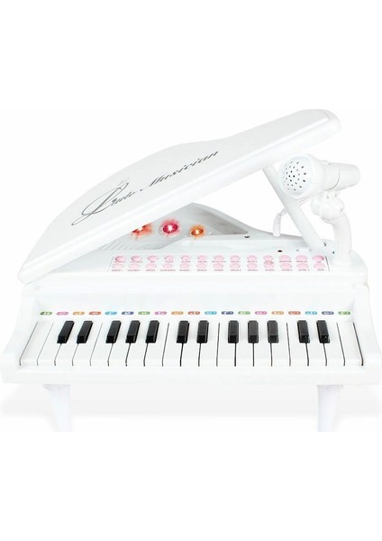 BAO-1504B 31 Tuşlu Mini Piano Mp3