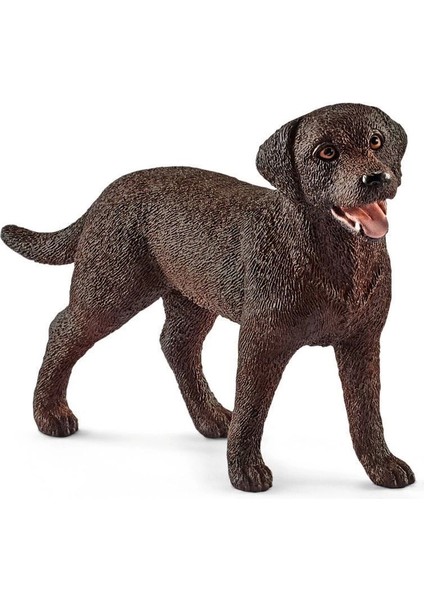 13834 Schleich - Dişi Labrador Retriever +3 Yaş