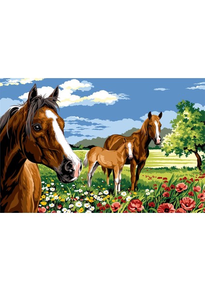 75X110CM - Çayırdaki Atlar