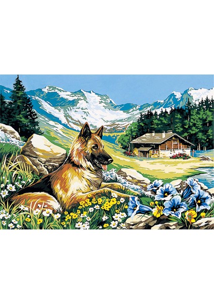 45X60CM- Vadiden Görünüm