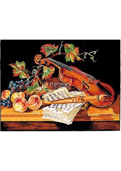 50X65CM