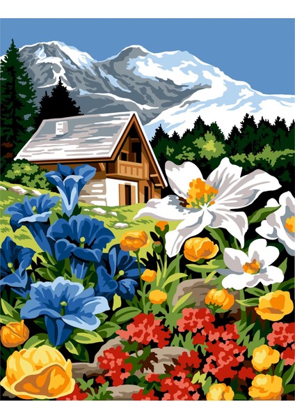 60X80CM - Dağ Çiçekleri