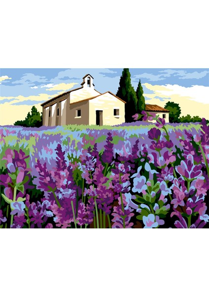 60X80CM - Lavantalar