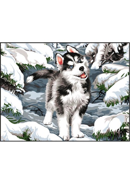 GOBLEN 50X65CM- Karda Husky Yavrusu