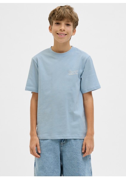 Baskılı Açık Mavi Erkek Çocuk T-Shirt 12278373 fiyatları