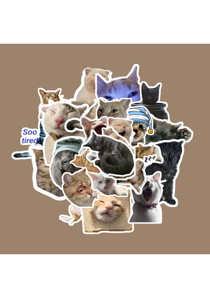 Uykucu Kedi Sticker Paketi -Bullet Journal - Ajanda - Planner - Defter - Laptop Etiket Çıkartma Çok Renkli 10 x 15 Paket Boyutu 3 x 5 cm Stickerlar Paket Içeriği 25 Adet Dadi Ramba Sticker fiyatları