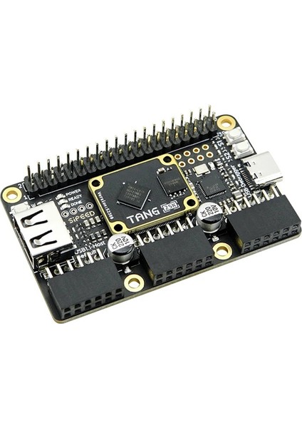 Tang Primer 25K Fpga Geliştirme Kartı Gowın GW5A Rıscv Geliştirme Kartı 23K Lut4 Pmod Joystick (Yurt Dışından)