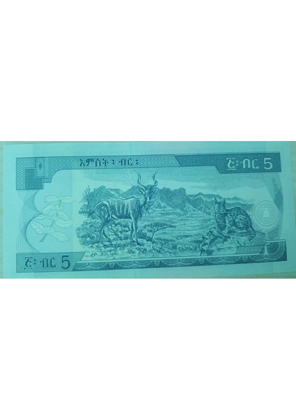 Ethiopia 5 Birr Çil