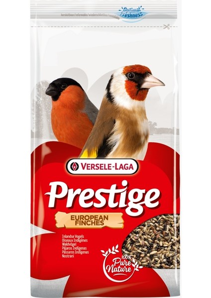 Verselelaga European Finches 1 kg x 1 Adet Ynsmr