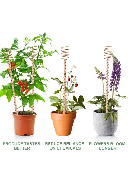 8 Paket 13,5 Inç Elektrokültür Bitki Kazıkları Yetiştirme Için (Yurt Dışından)