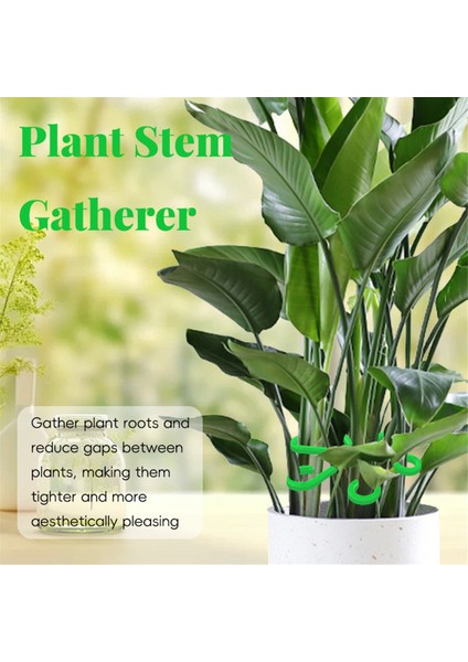 Tekrar Kullanılabilir Bitki Sapı Katlanır Çerçeve Bahçe Aletleri Yeşil (Yurt Dışından) fırsatları