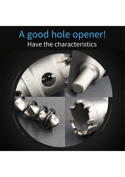 6 Adet Paslanmaz Çelik Rayba 14-30MMTCT Çimentolu Karbür Rayba (Yurt Dışından) indirimleri