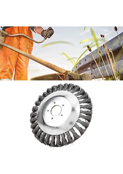 Ot Temizleme Aracı Çim Fırçası Düzeltici 6 Inç (Yurt Dışından) indirimleri