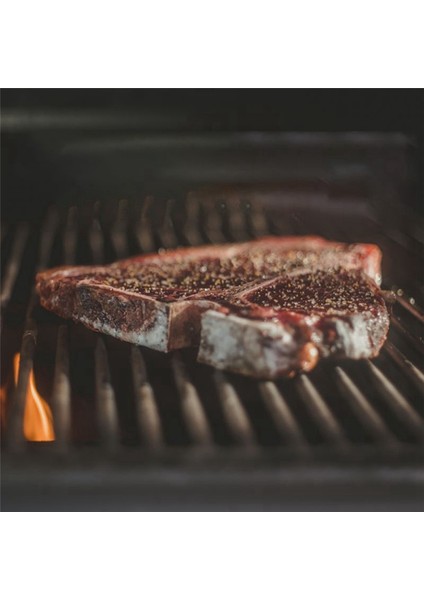2 Paket Et Probu TP20 TP17 Için 2 Barbekü Probu Tutucu Klipsli (Yurt Dışından)