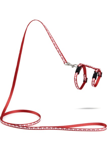 Yavru Kedi Göğüs Tasması ve Gezdirme Kayışı 120 cm, Kırmızı, 16-25 cm Boyun, 23-36 cmGöğüs