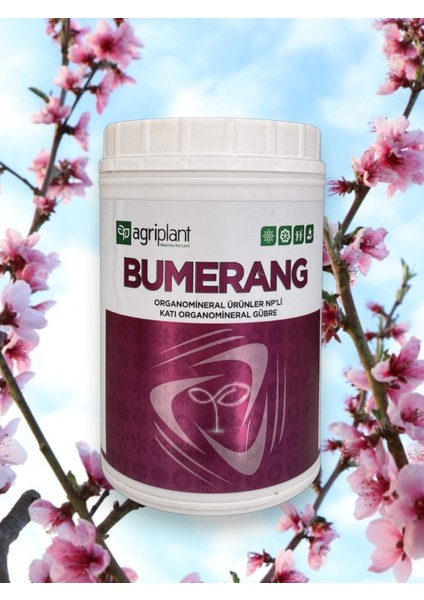 Bumerang 500 gr Çiçeklendirici