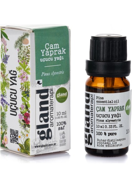 Çam Yaprak(Pinus Sylvestris) Uçucu Yağı 10ML