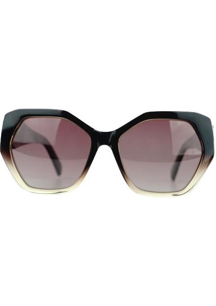 8810 17 Kadın Güneş Gözlüğü fiyatları