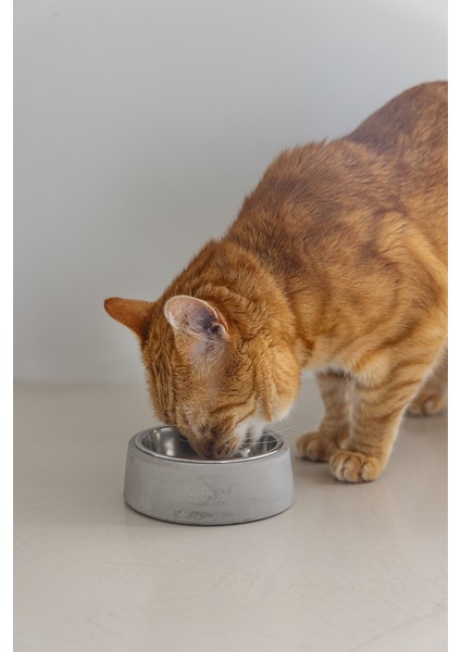 Dbl Kedi Mama Su Kabı, Paslanmaz Çelik, 12,5cm, 160ML modelleri