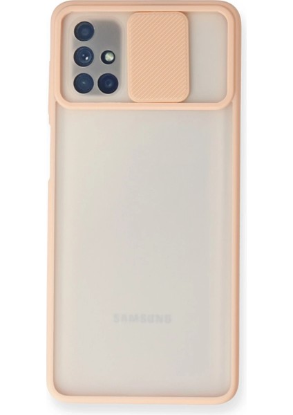 Samsung Galaxy M51 Kılıf Palm Buzlu Kamera Sürgülü Silikon - Pembe Bstmy