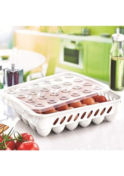 Yumurta Kapalı Saklama Kabı 24 Lü Beyaz