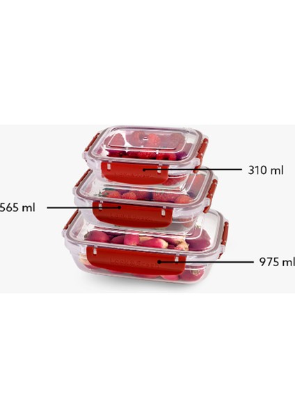 Master Seal Dikdörtgen Saklama Kabı Seti 3 PARÇA(310,565,975 Ml)