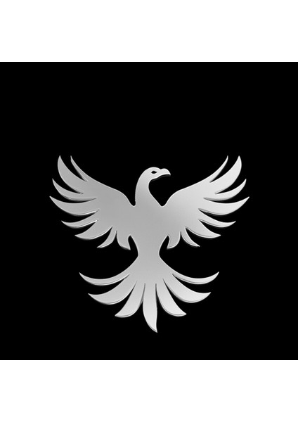 925 Ayar gümüş kolye anka kuşu SM4864