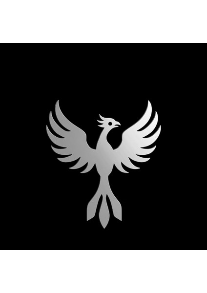 925 Ayar gümüş kolye anka kuşu SM4861