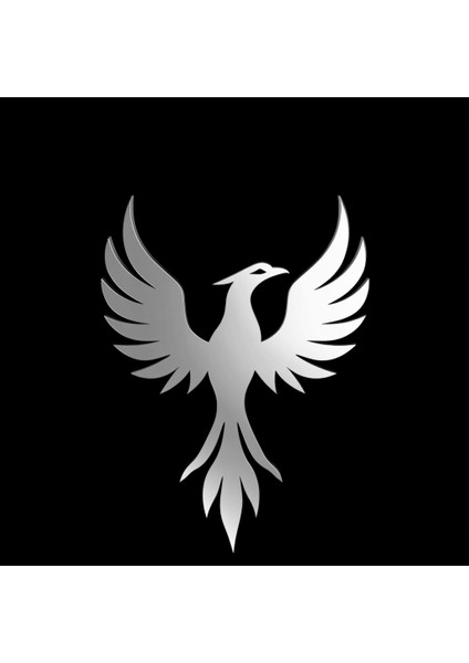 925 Ayar gümüş kolye anka kuşu SM4862